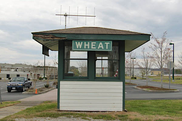 wheat7