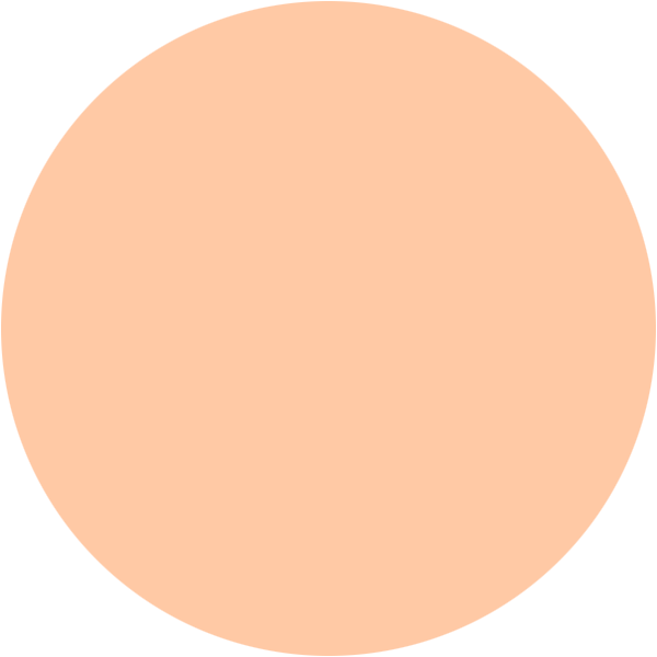 overlay_circle