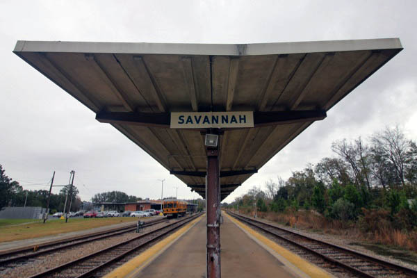 savannah32