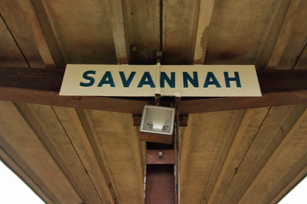 savannah41c