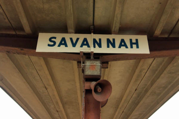 savannah41h