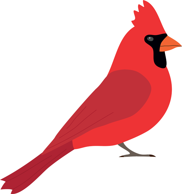 cardinal_clipart