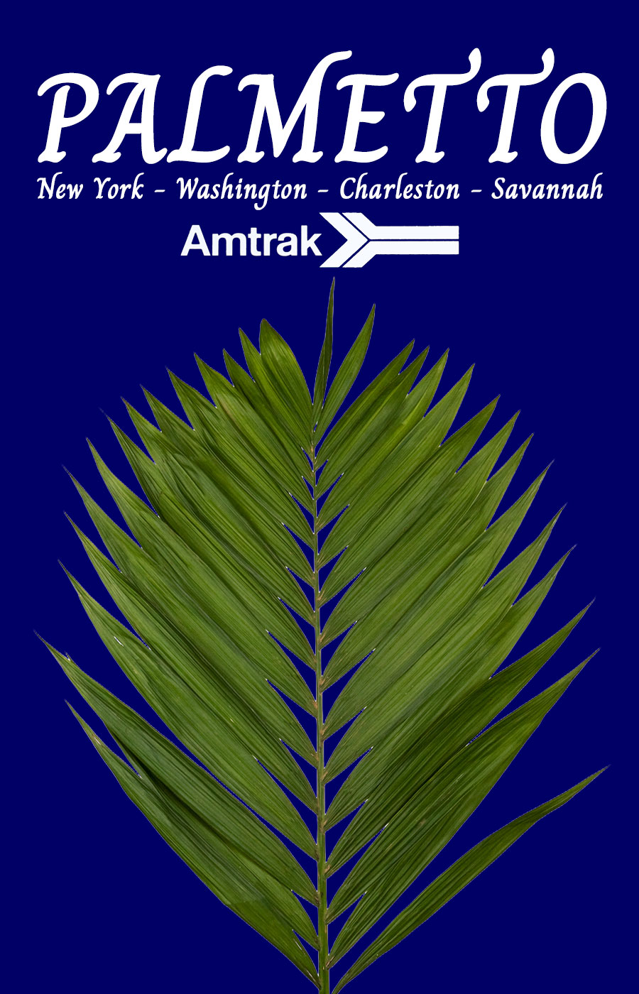 palmetto_poster