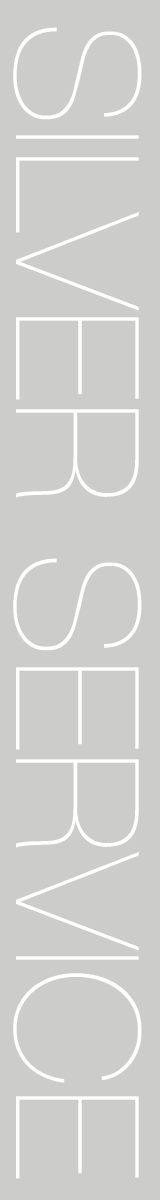 silver_banner_tall
