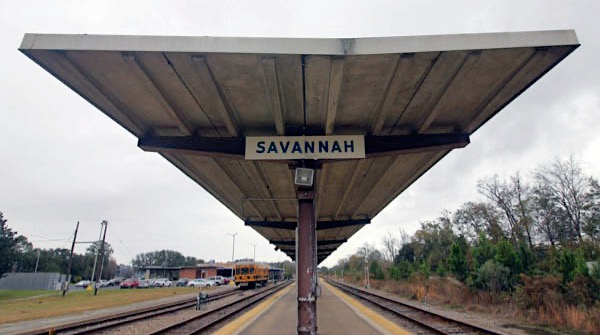 savannah64