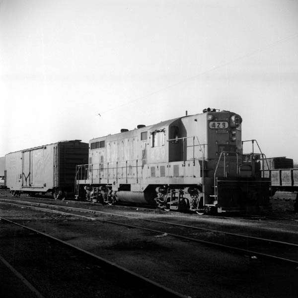 ln429c