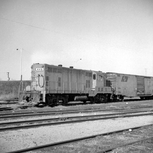ln446b