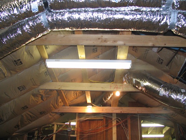 katrina5b