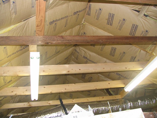 katrina5c