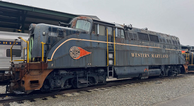 wm81_roster