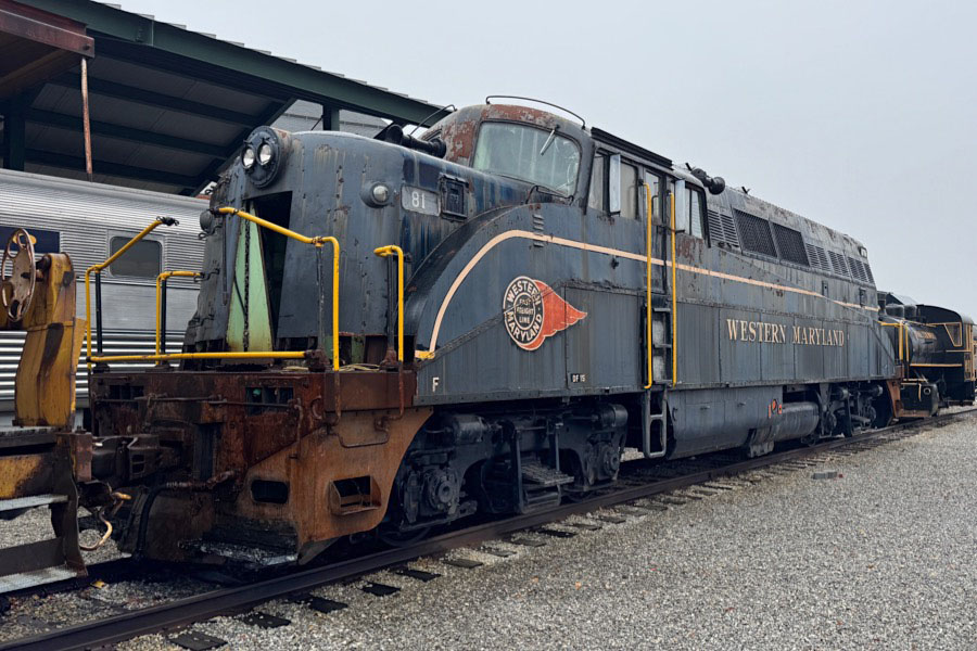 wm81b