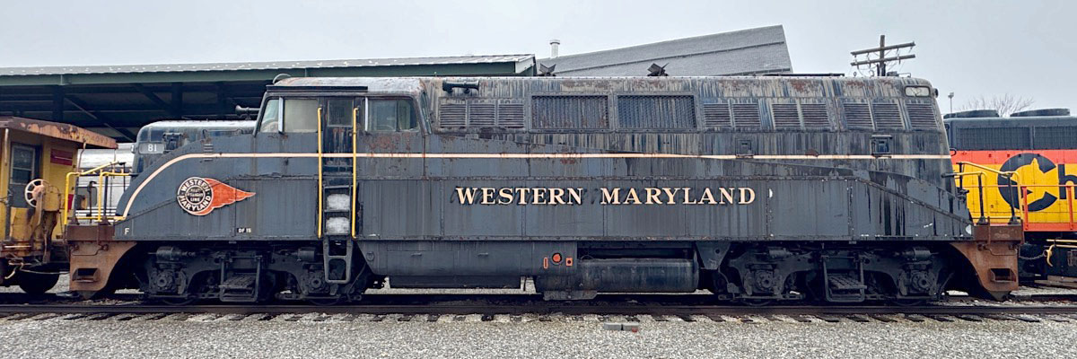wm81d