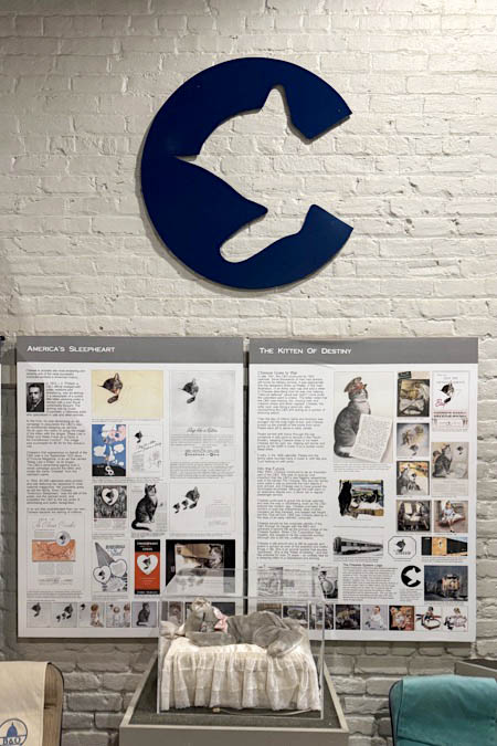 display13c