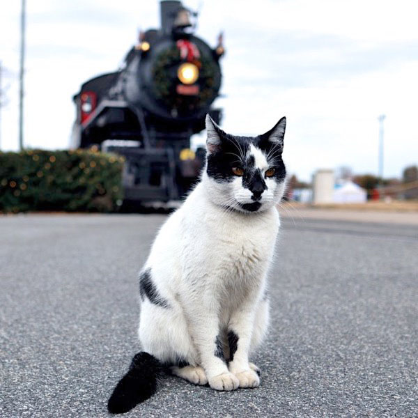 mookie1
