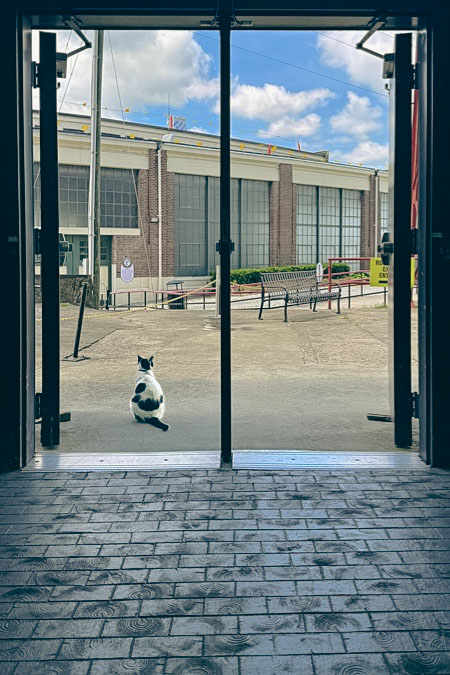 nctm_lagn39