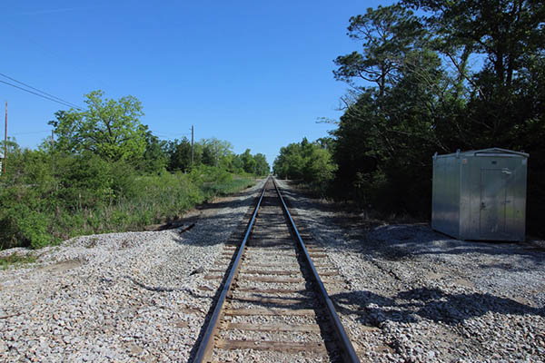 alford4