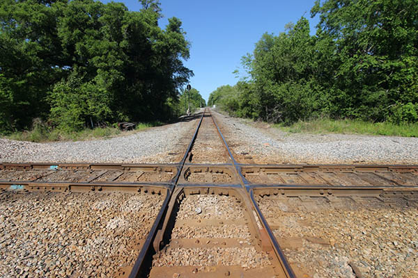 cottondale10e