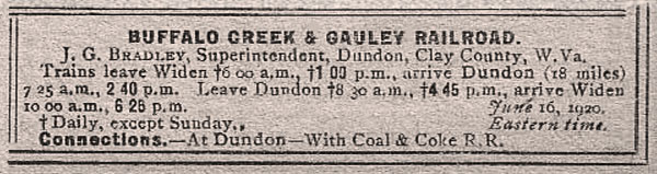 bcg_guide1920